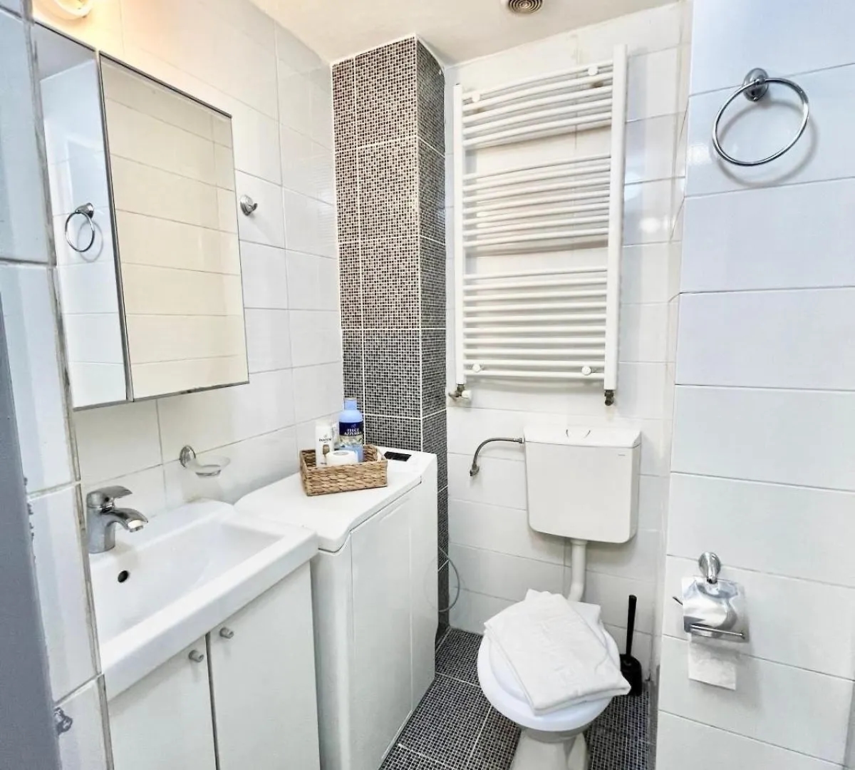Victoriei Spacious Studio Bucharest Romania