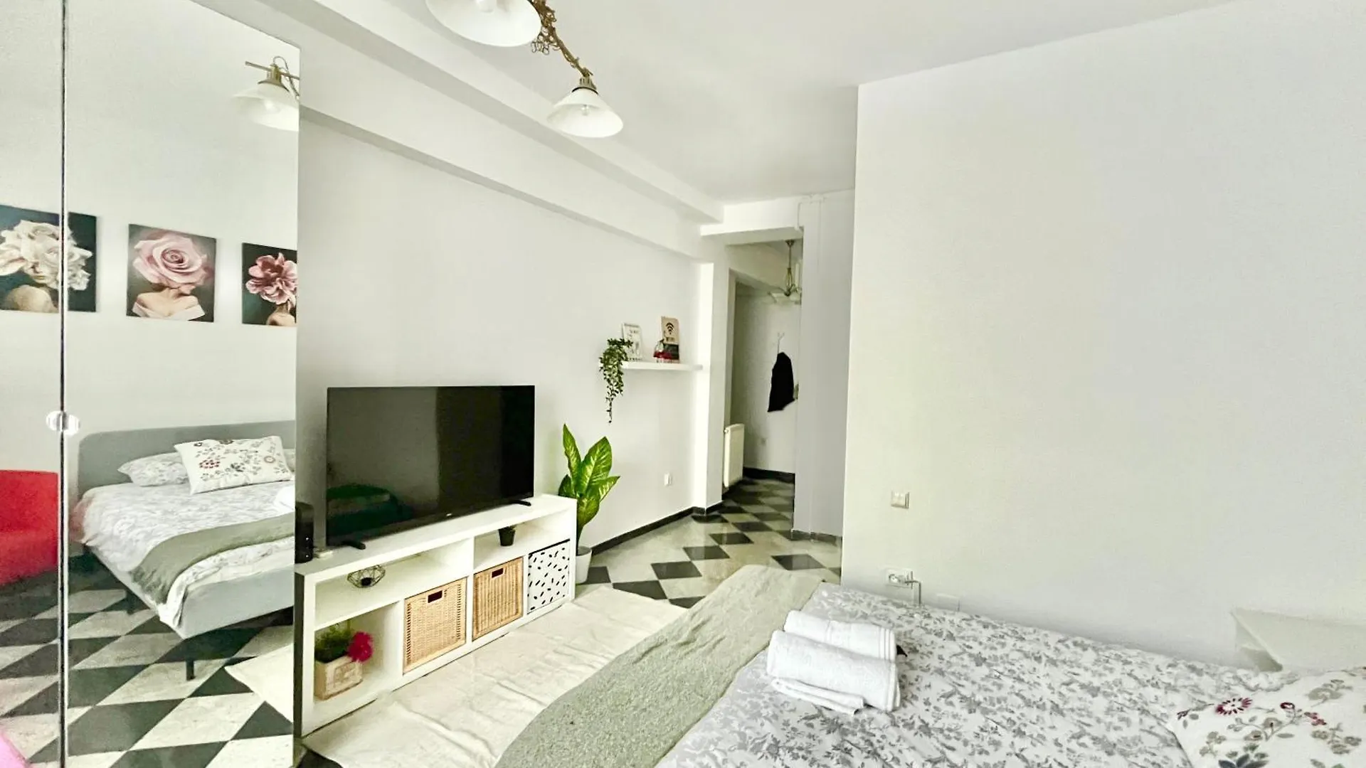 Victoriei Spacious Studio Bucharest